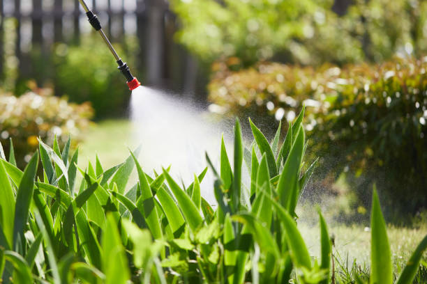 24/7 Emergency Fumigation Services experts in Lubeck, WV