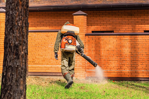 Trusted Mosquito Control service in Lubeck, WV - Nex Pest Control